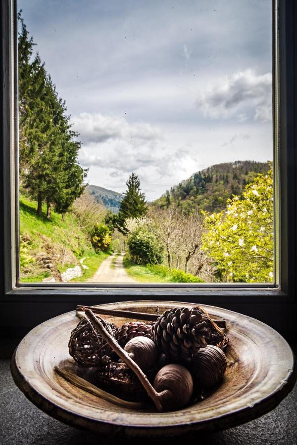 Villa Kuninez Most na Soči Exterior foto